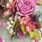 Profile photo of samaka