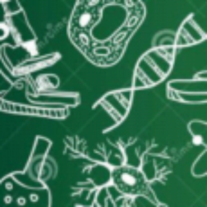 Profile photo of Yaraa Ahmed