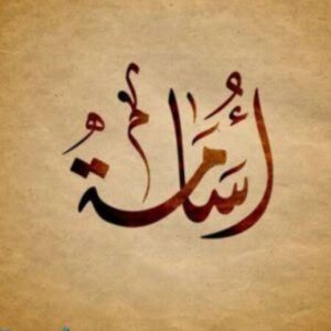 Profile photo of Dr/ Osama Ashraf