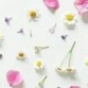 Profile photo of أميره محمد