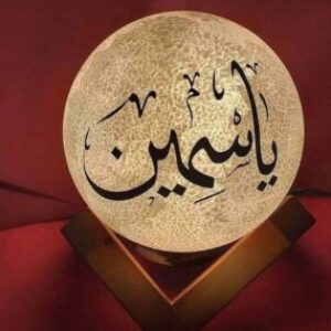 Profile photo of Yasmine Mohammed