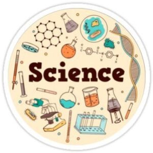 Profile photo of Mrs Basma Hamdy