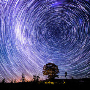 Profile photo of Reem Sobhy