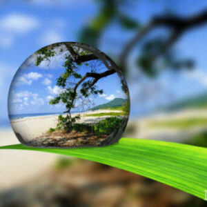 Profile photo of Rahma Ali