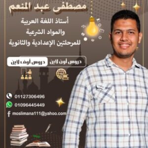 Profile photo of Mostafa Elmonam