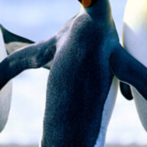 Profile photo of tatek